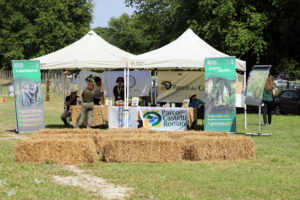 Stand del Parco dei Castelli Romani